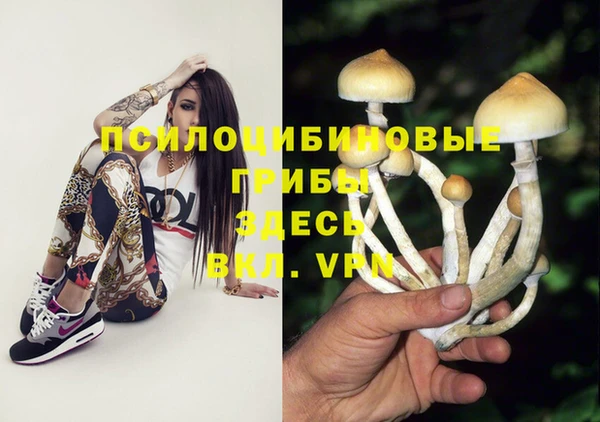 MDMA Premium VHQ Беломорск