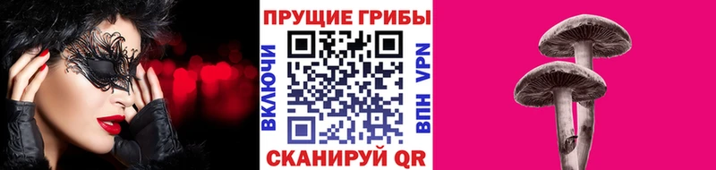цена   ОМГ ОМГ зеркало  Галлюциногенные грибы ЛСД  Мезень 